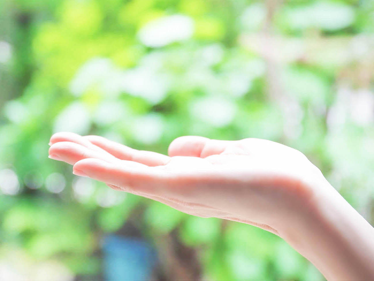 私たちの特徴画像